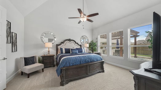 Mont Belvieu 1-story, 4-bed 13527 Sacred Oaks Drive-idx