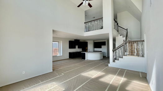 Pearland 2-story, 4-bed 5920 Dublin Lane-idx