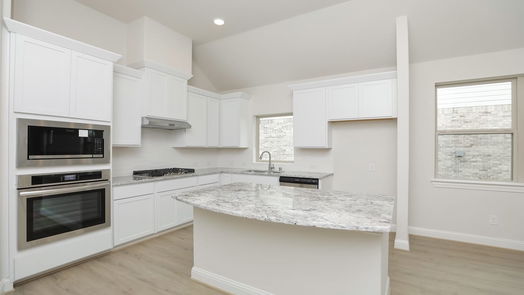 Pearland 1-story, 4-bed 5831 Dublin Lane-idx