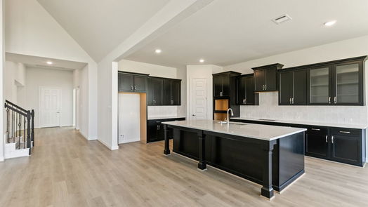 Rosenberg 2-story, 4-bed 431 Blue River Trail-idx