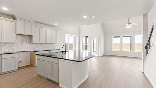 Rosenberg 2-story, 4-bed 551 Selaura Street-idx