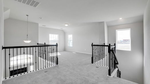 Sugar Land 2-story, 4-bed 2010 Sunflower Court-idx