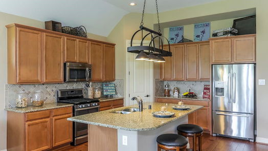 Webster 1-story, 4-bed 571 Rita Blanca Drive-idx