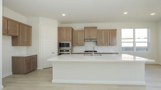 Webster 2-story, 4-bed 1011 Navasota Street-idx