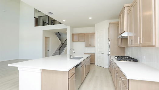 Webster 2-story, 4-bed 1011 Navasota Street-idx