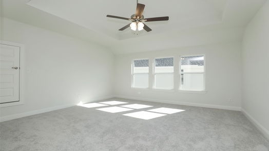 Webster 2-story, 4-bed 1011 Navasota Street-idx