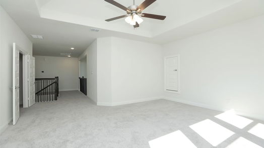 Webster 2-story, 4-bed 1011 Navasota Street-idx