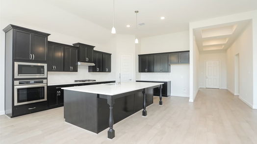 Webster 2-story, 4-bed 639 Rita Blanca Drive-idx