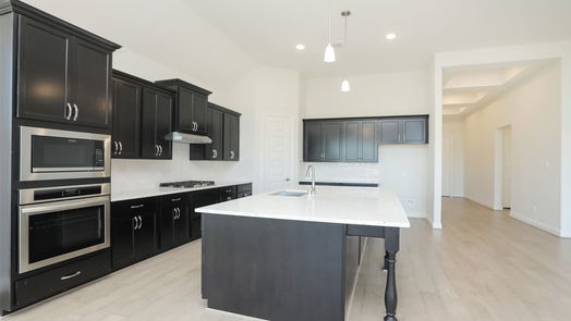 Webster 2-story, 4-bed 639 Rita Blanca Drive-idx