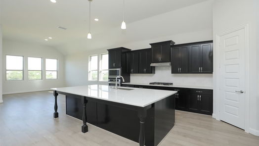 Webster 2-story, 4-bed 639 Rita Blanca Drive-idx