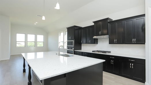 Webster 2-story, 4-bed 639 Rita Blanca Drive-idx