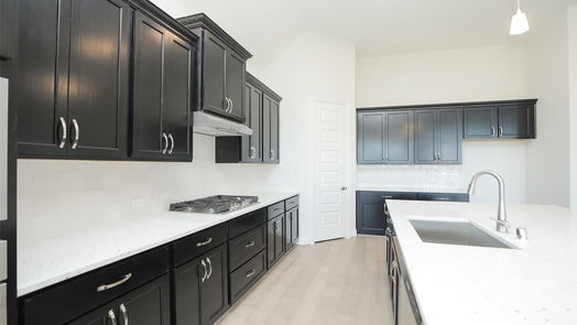 Webster 2-story, 4-bed 639 Rita Blanca Drive-idx