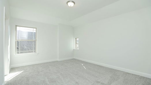 Webster 2-story, 5-bed 1015 Navasota Street-idx
