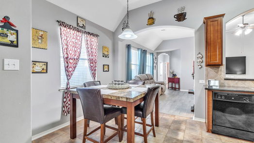 League City 1-story, 4-bed 813 Harvard Pointe Drive-idx