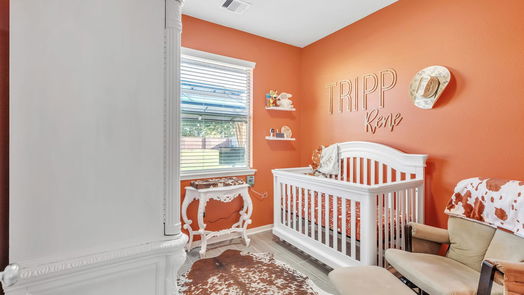 League City 1-story, 4-bed 813 Harvard Pointe Drive-idx