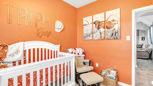 League City 1-story, 4-bed 813 Harvard Pointe Drive-idx