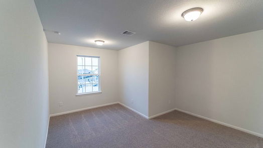 Baytown 2-story, 4-bed 8707 Ruddy Duck Court-idx