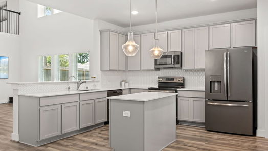 Crosby 2-story, 4-bed 17703 Wake Court-idx