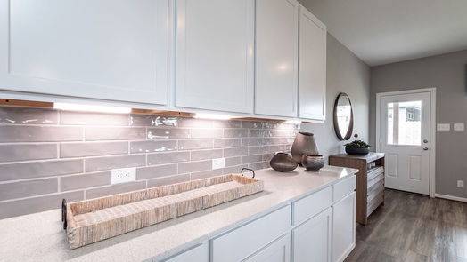 Crosby 2-story, 4-bed 607 Baobab Way-idx