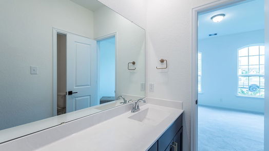 Pearland 1-story, 3-bed 6207 Sandspur Springs Lane-idx