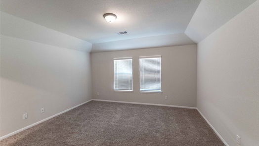 Rosharon null-story, 3-bed 1702 Homewood Point Lane-idx