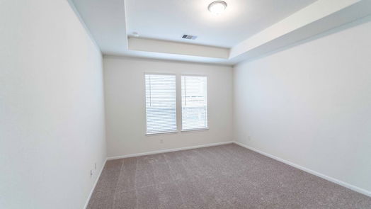 Rosharon 1-story, 3-bed 2803 Sapphire Hills Drive-idx
