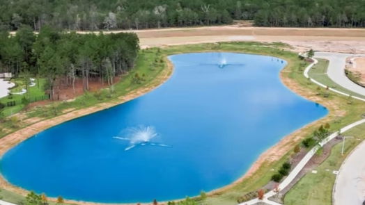 Conroe 2-story, 4-bed 14878 Ash Landing Drive-idx