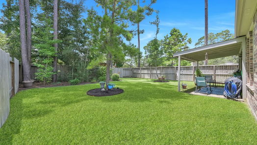 Conroe 1-story, 4-bed 4225 Roaring Timber Court-idx