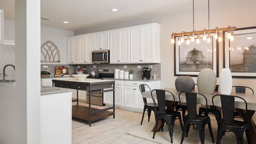 Houston 2-story, 4-bed 12407 Duggan Drive-idx