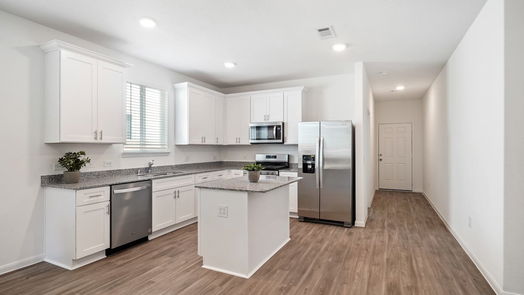 Magnolia null-story, 4-bed 25489 Cilantro Drive-idx