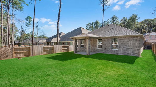 Conroe null-story, 4-bed 211 Garden Rose Trail-idx