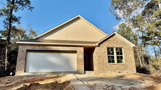 Conroe null-story, 4-bed 259 Garden Rose Trail-idx