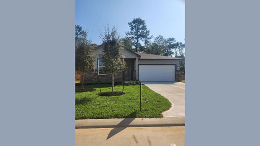 Conroe null-story, 3-bed 16998 Hazelnut Drive-idx