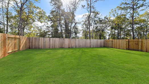 Conroe 1-story, 3-bed 17006 Hazelnut Drive-idx