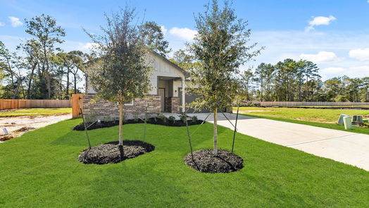 Conroe 1-story, 3-bed 16998 Hazelnut Drive-idx