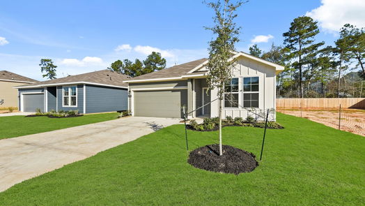 Conroe null-story, 3-bed 10755 Red Flagstone Drive-idx