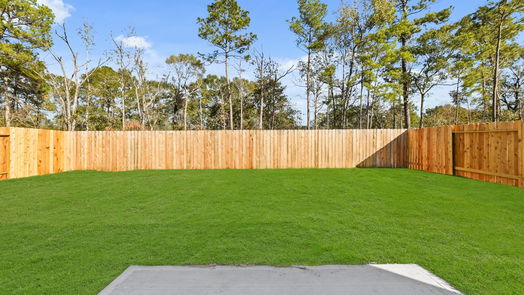 Conroe null-story, 3-bed 10755 Red Flagstone Drive-idx