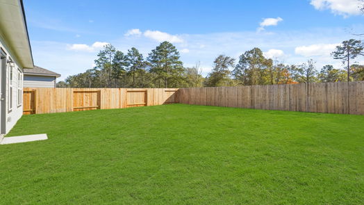 Conroe 1-story, 3-bed 17018 Hazelnut Drive-idx