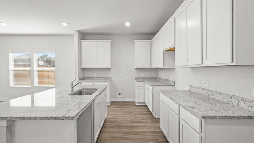Conroe 1-story, 4-bed 14321 Ash Tree Drive-idx