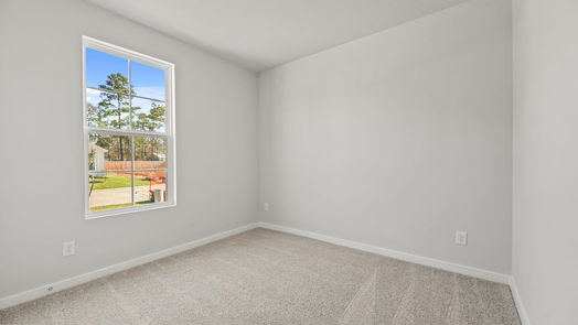 Conroe 1-story, 3-bed 10754 Red Flagstone Drive-idx