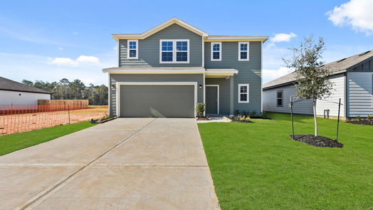 Conroe 2-story, 4-bed 10734 Red Flagstone Drive-idx