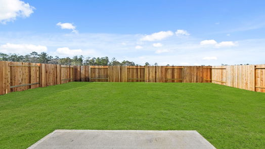 Conroe 2-story, 4-bed 10734 Red Flagstone Drive-idx