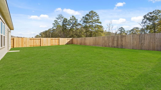 Conroe 1-story, 4-bed 17022 Hazelnut Drive-idx
