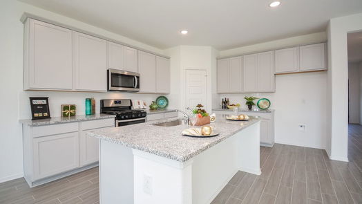 Katy 2-story, 5-bed 23138 TRUE FORTUNE DR-idx