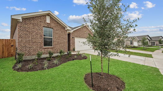 Katy 1-story, 4-bed 23151 True Fortune-idx
