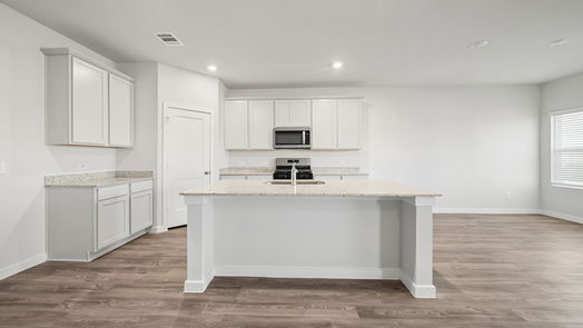 Montgomery null-story, 4-bed 25212 Leather Leaf Court-idx