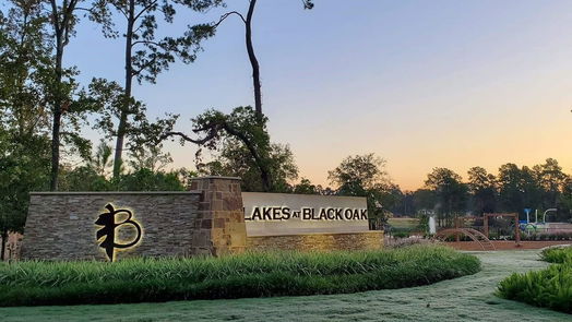 Willis 2-story, 4-bed 8034 Peppercorn Street-idx