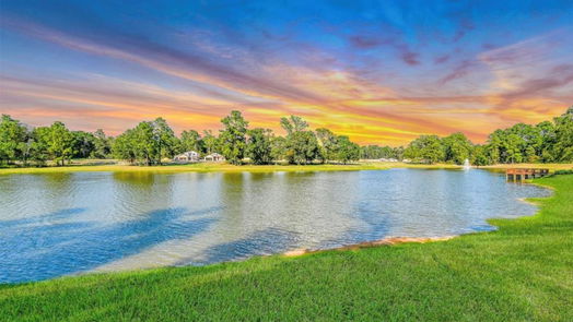 Willis 2-story, 4-bed 8034 Peppercorn Street-idx