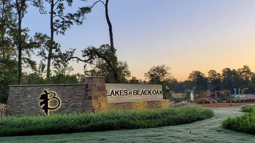 Willis 2-story, 4-bed 8034 Peppercorn Street-idx