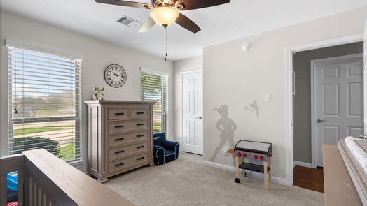 Manvel 1-story, 4-bed 6807 Gonzales Point-idx